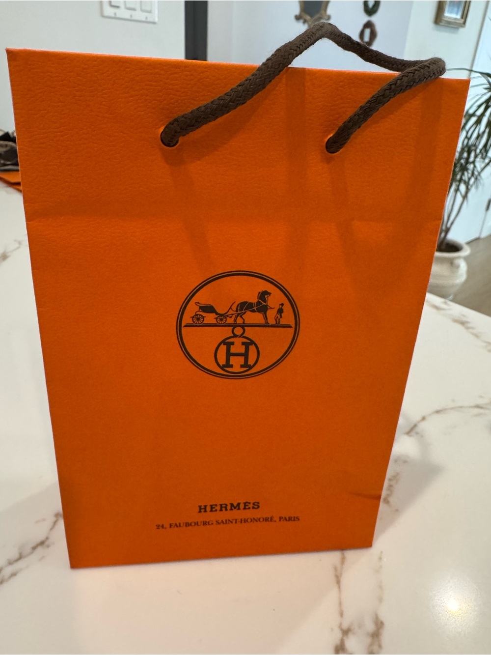 Hermes Empty shopping bag